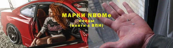 индика Володарск