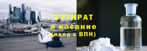 индика Володарск