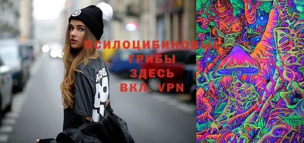 индика Володарск