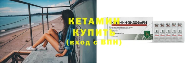 индика Володарск