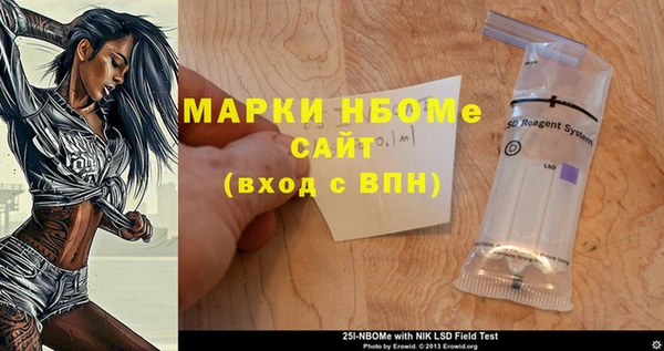 индика Володарск