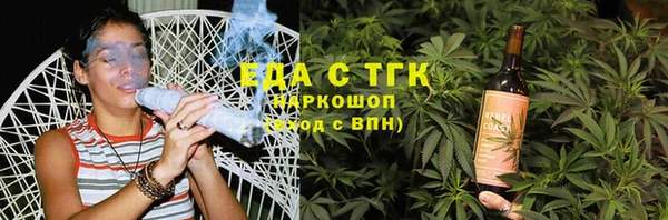 индика Володарск