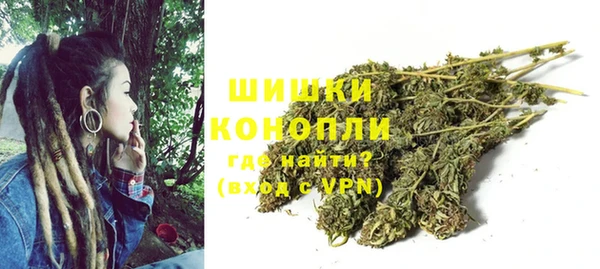 индика Володарск