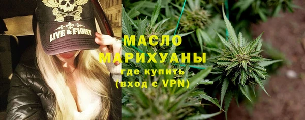 индика Володарск