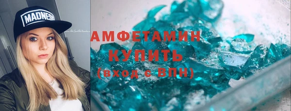 индика Володарск