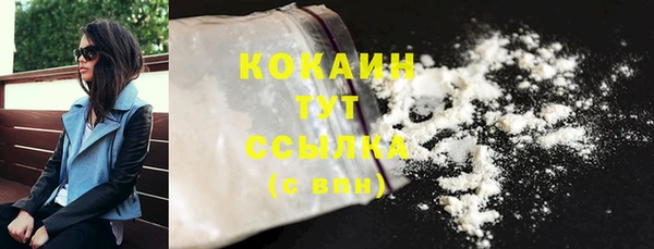 индика Володарск