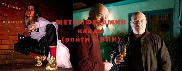 индика Володарск