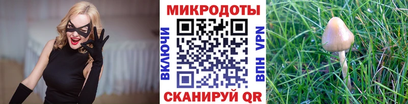 Галлюциногенные грибы ЛСД  Купить  Пустошка 